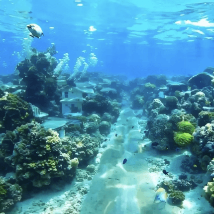 Runway's Next-Gen Video Generation AI